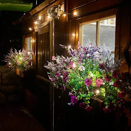 Daire Garden Lounge *