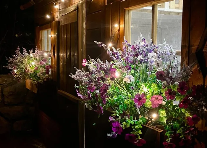 Appartement Garden Lounge *